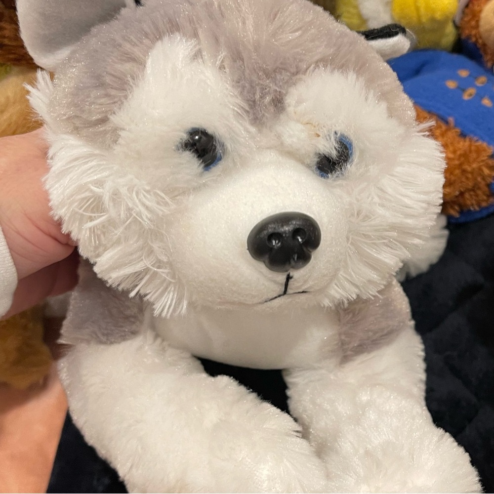 Peekaboo Husky Wolf pup plush NWT